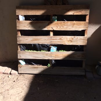 St Paul's Pre School - Garden made out of crate - Preschools Near Me - Tustin, California St Paul's Pre School - Garden made out of crate - Preschools Near Me - Tustin, California