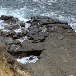 Laguna Beach Bums - Crescent Bay