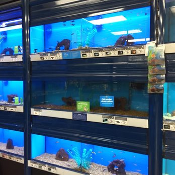 Petco - Pet Stores Near Me - Honolulu, Hawaii