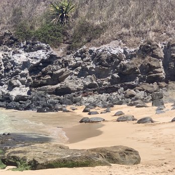 Hookipa Beach Park - Hawaii green sea turtles - Parks Near Me - Paia, Hawaii