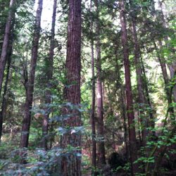 Awaken To Your Deeper Self - Natural