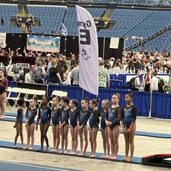 Legacy Gymnastics Center - Legacy Excel Bronze team