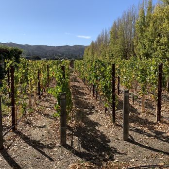 Melville Vineyards & Winery - Beautiful vineyards in front of tasting room. - Wineries Near Me - Lompoc, California Melville Vineyards & Winery - Beautiful vineyards in front of tasting room. - Wineries Near Me - Lompoc, California