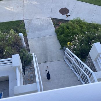 Limetree Beach Resort - The view from the balcony - Resorts Near Me - St Thomas, Virgin Islands