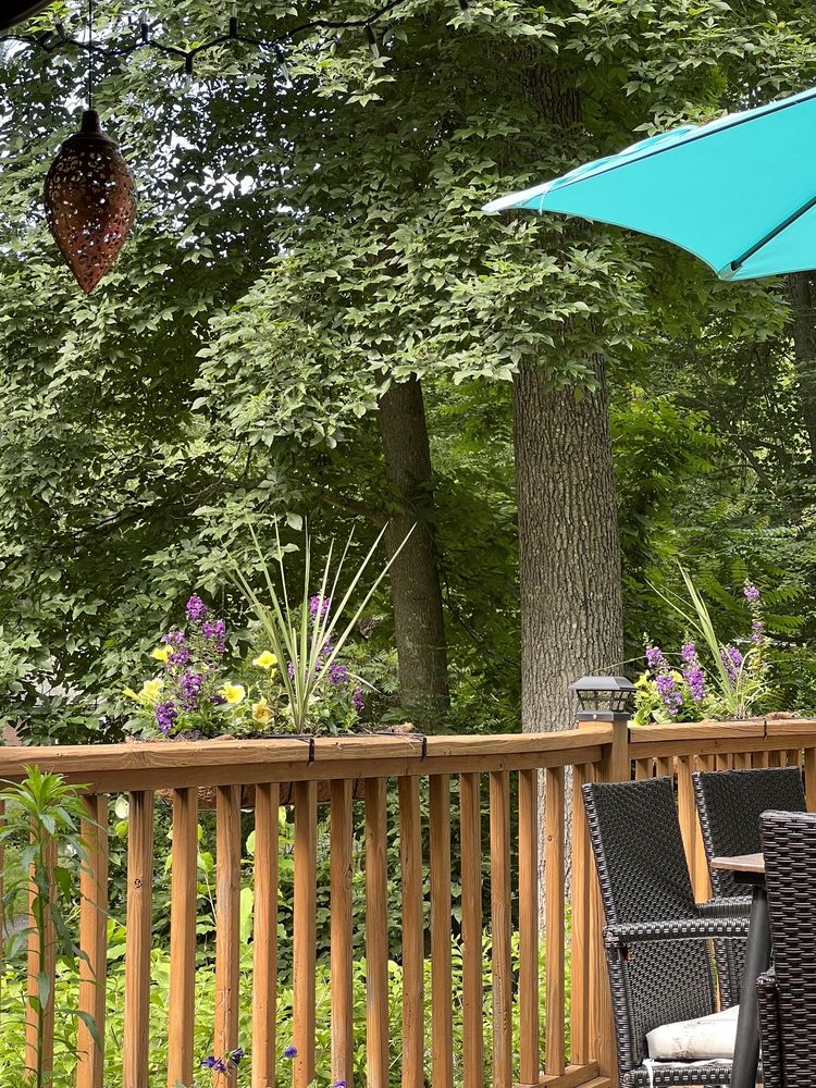 RIGGIO’S GARDEN CENTER/ESSEX FLOWER SHOPPE Updated September 2024