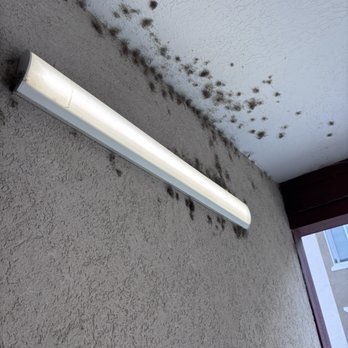 Mill Point Apartments - Walking out your door Dead mosquitos - Apartments Near Me - Vineyard, Utah