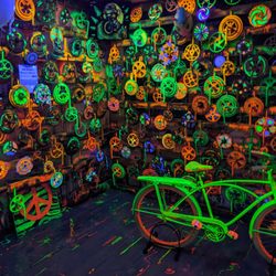 Bicycle Heaven - Bicycle Heaven, Pittsburgh