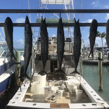Sea Horse  Charters - 4 Wahoos. - Fishing Near Me - Islamorada, Florida