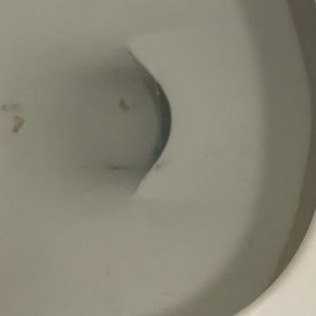 Sonesta Simply Suites Cleveland Airport - Skid marks still in toilet cause it was not cleaned - Hotels Near Me - Middleburg Heights, Ohio Sonesta Simply Suites Cleveland Airport - Skid marks still in toilet cause it was not cleaned - Hotels Near Me - Middleburg Heights, Ohio