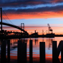 Downtown Harbor Plaza - Breathtaking views of the Vincent Thomas Bridge