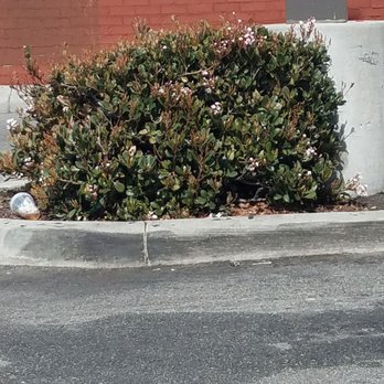 Walgreens - a trash can on the side of the road - Drugstores Near Me - Hawthorne, California Walgreens - a trash can on the side of the road - Drugstores Near Me - Hawthorne, California