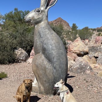 Bootleg Canyon Park - Parks Near Me - Boulder City, Nevada