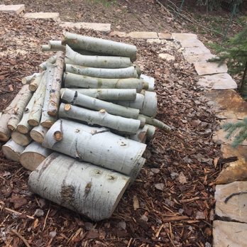 High Mountain Tree Care - Flush stump, upper right - Tree Services Near Me