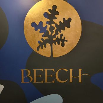 Beech - American Near Me - Jamestown, Rhode Island Beech - American Near Me - Jamestown, Rhode Island