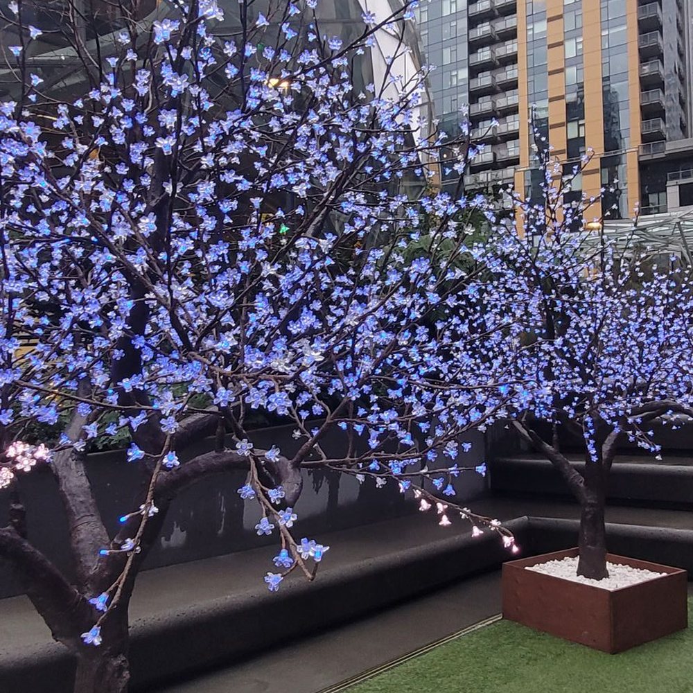Amazon Spheres - Outside Decor - Botanical Gardens Near Me - Seattle, Washington