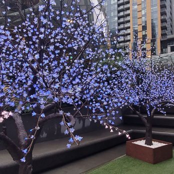 Amazon Spheres - Outside Decor - Botanical Gardens Near Me - Seattle, Washington Amazon Spheres - Outside Decor - Botanical Gardens Near Me - Seattle, Washington
