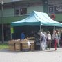 Photo of Wolnostojący warzywniak na Dąbiu