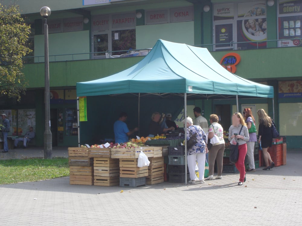 WOLNOSTOJĄCY WARZYWNIAK NA DĄBIU Updated July 2024 Al. Pokoju 33