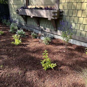 New Image Landscaping - Landscaping Near Me - Altadena, California