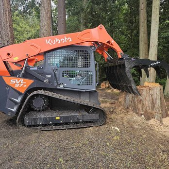 Sauve & Sons Tree Work - Tree Services Near Me Sauve & Sons Tree Work - Tree Services Near Me