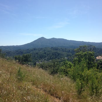 Robert Dollar Scenic Drive Hike - View of Mt Tam - Hiking Near Me - San Rafael, California Robert Dollar Scenic Drive Hike - View of Mt Tam - Hiking Near Me - San Rafael, California