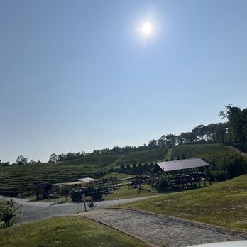 Big Door Vineyards - Wineries Near Me - White, Georgia