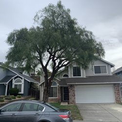 Quality Tree Service