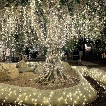 Lavender Nights - Festivals Near Me - Cherry Valley, California