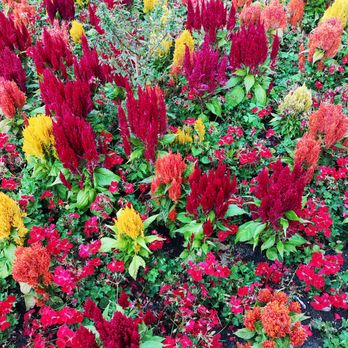 Terrace Gardens - Parks Near Me - Richmond,, SRY