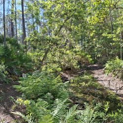 Treaty Park