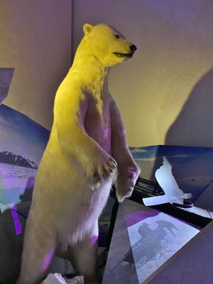 The Fram Museum by null