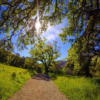 Mount Diablo State Park - Parks Near Me - Clayton, California Mount Diablo State Park - Parks Near Me - Clayton, California