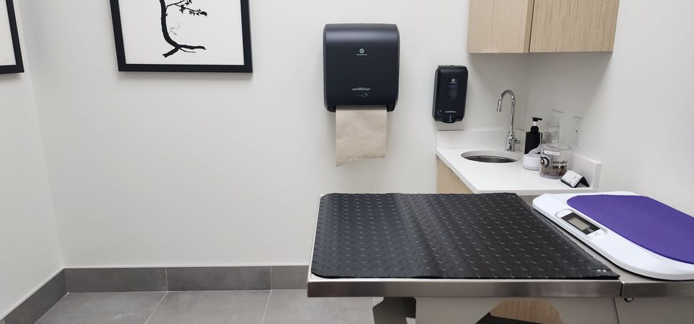 Mindful Veterinary Care Image