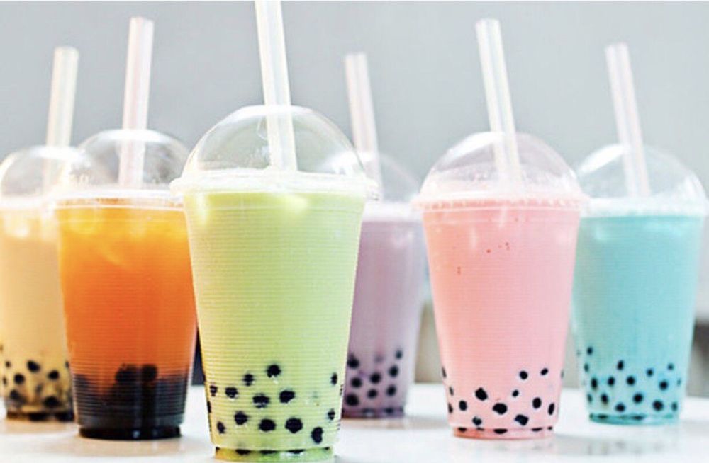 SANDY PAWS CAT AND DOG GROOMING Updated July 2024 220 Photos 4447