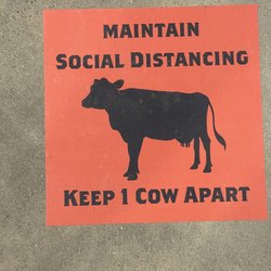 1 cow apart at all times!