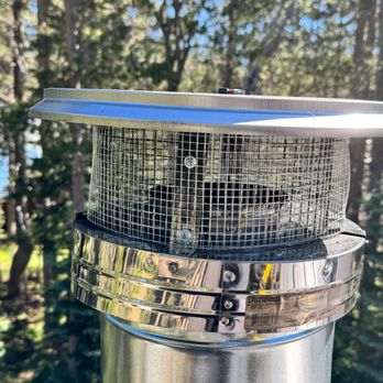 King Pests Control - King Pests Control - Pest Control Near Me