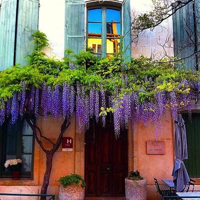 Hôtel Les Templiers by null