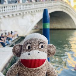 Ponte di Rialto - Che enjoying his time in Venice