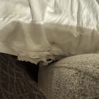 The Sofia Hotel - pull out bed - Hotels Near Me - San Diego, California
