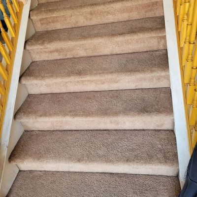 carpet cleaning - carpet cleaning carpet cleaning - carpet cleaning