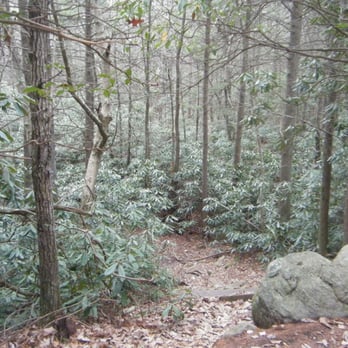 Long Pond Nature Area - Hiking Near Me Long Pond Nature Area - Hiking Near Me