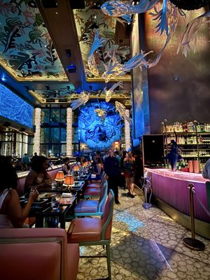 Sexy Fish Miami by null