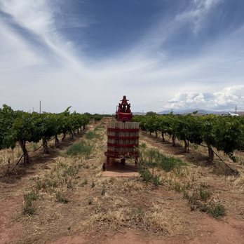 PistachioLand - Attraction Farms Near Me - Alamogordo, New Mexico