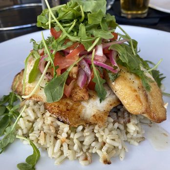 The Foundry - Pan seared Pompano, over rice pilaf, topped with arugula salad. - Lounges Near Me - Pompano Beach, Florida The Foundry - Pan seared Pompano, over rice pilaf, topped with arugula salad. - Lounges Near Me - Pompano Beach, Florida