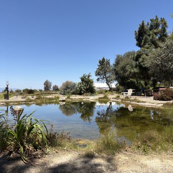 Waterwise Botanicals - Pond - Nurseries & Gardening Near Me - Bonsall, California
