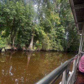 Jean Lafitte Swamp Tour - Boat Tours Near Me - Marrero, Louisiana