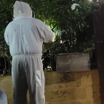 Hawaii bee Hotline - I called Hawaii Bee Hotline. There response time was quick and took care of the bees. - Pest Control Near Me