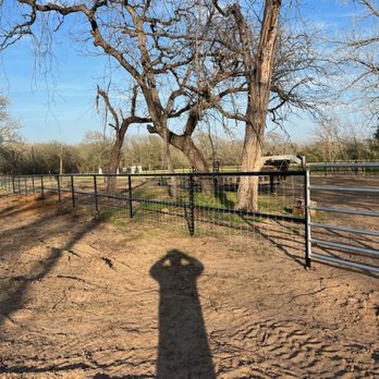 Fence Building By Emilio Montejano - Two Rail welded Pipe fence and painted - Fences & Gates Near Me Fence Building By Emilio Montejano - Two Rail welded Pipe fence and painted - Fences & Gates Near Me