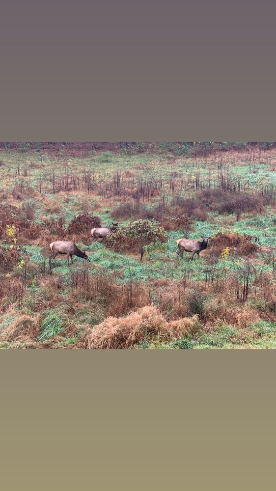 TREXLER NATURE PRESERVE Updated October 2024 62 Photos & 25 Reviews