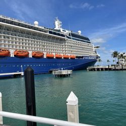 Cruise Connections